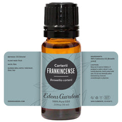 Premium grade Frankincense CO2 essential oil bottle 10 ml