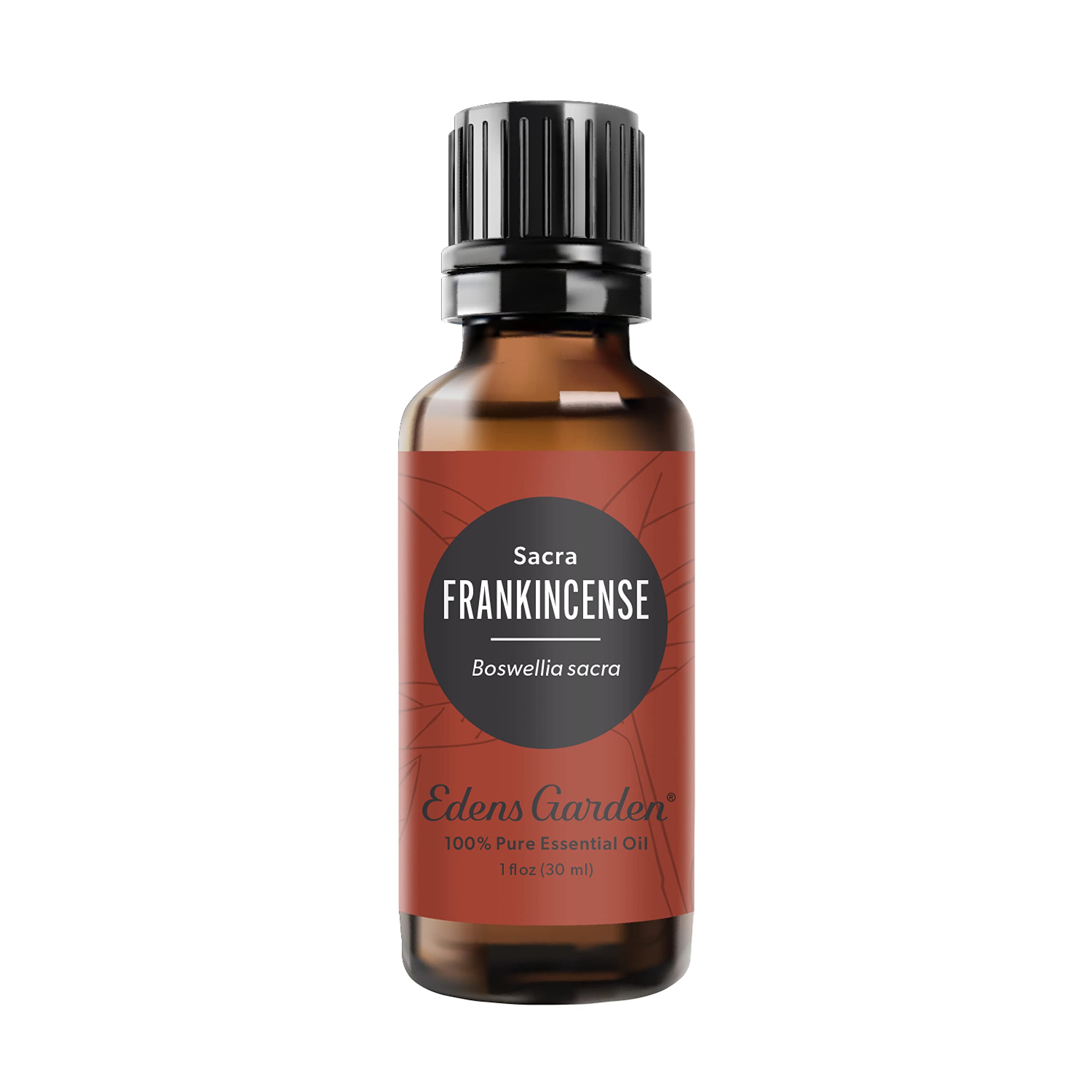 Edens Garden Frankincense Sacra essential oil bottle 30 ml front view
