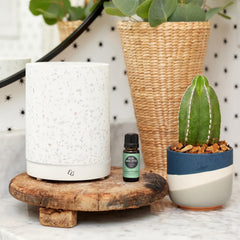 Good Night & Joy essential oil blend in a 10 ml bottle