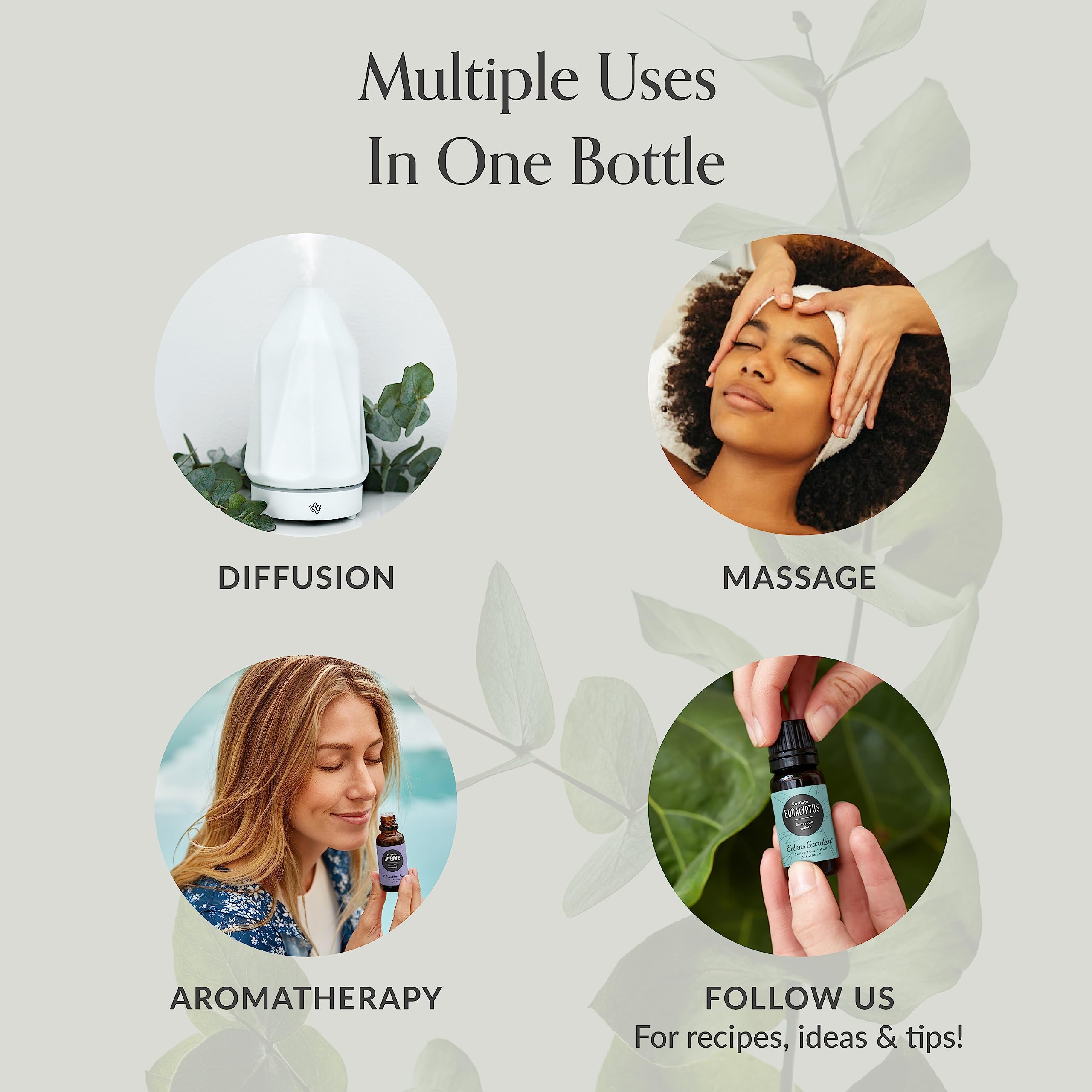 Close-up of six essential oil bottles in the Discovery 6 Set
