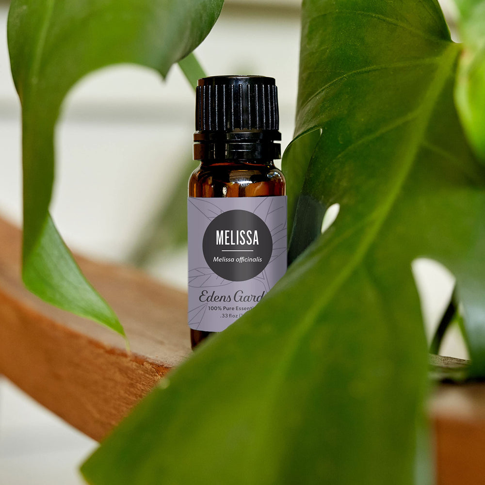 Steam-distilled Melissa officinalis leaves and flowers
