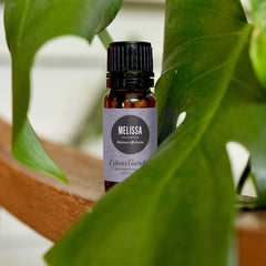 Steam-distilled Melissa officinalis leaves and flowers