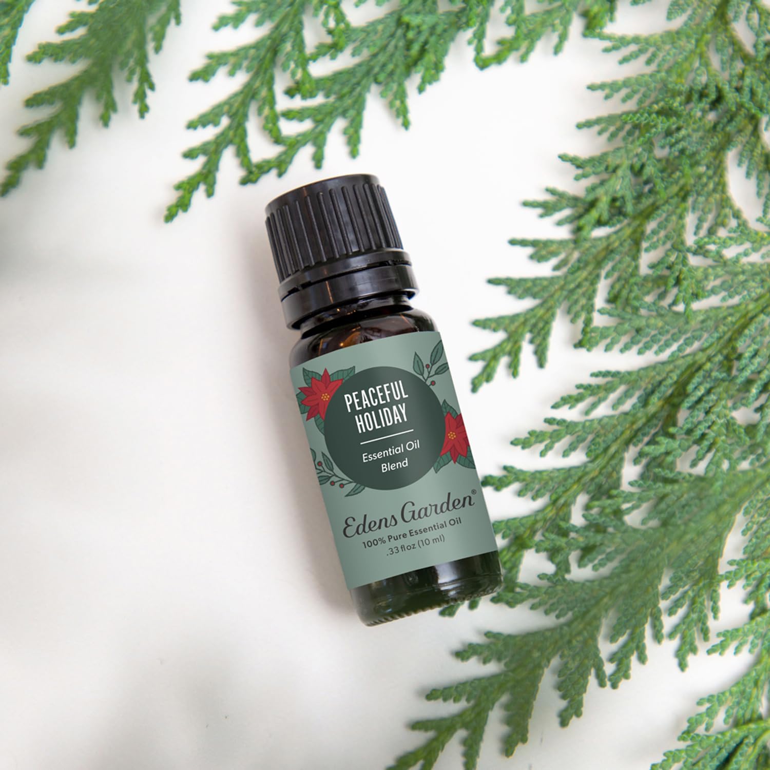 Fir Needle, Douglas Fir, and Silver Fir essential oils lineup