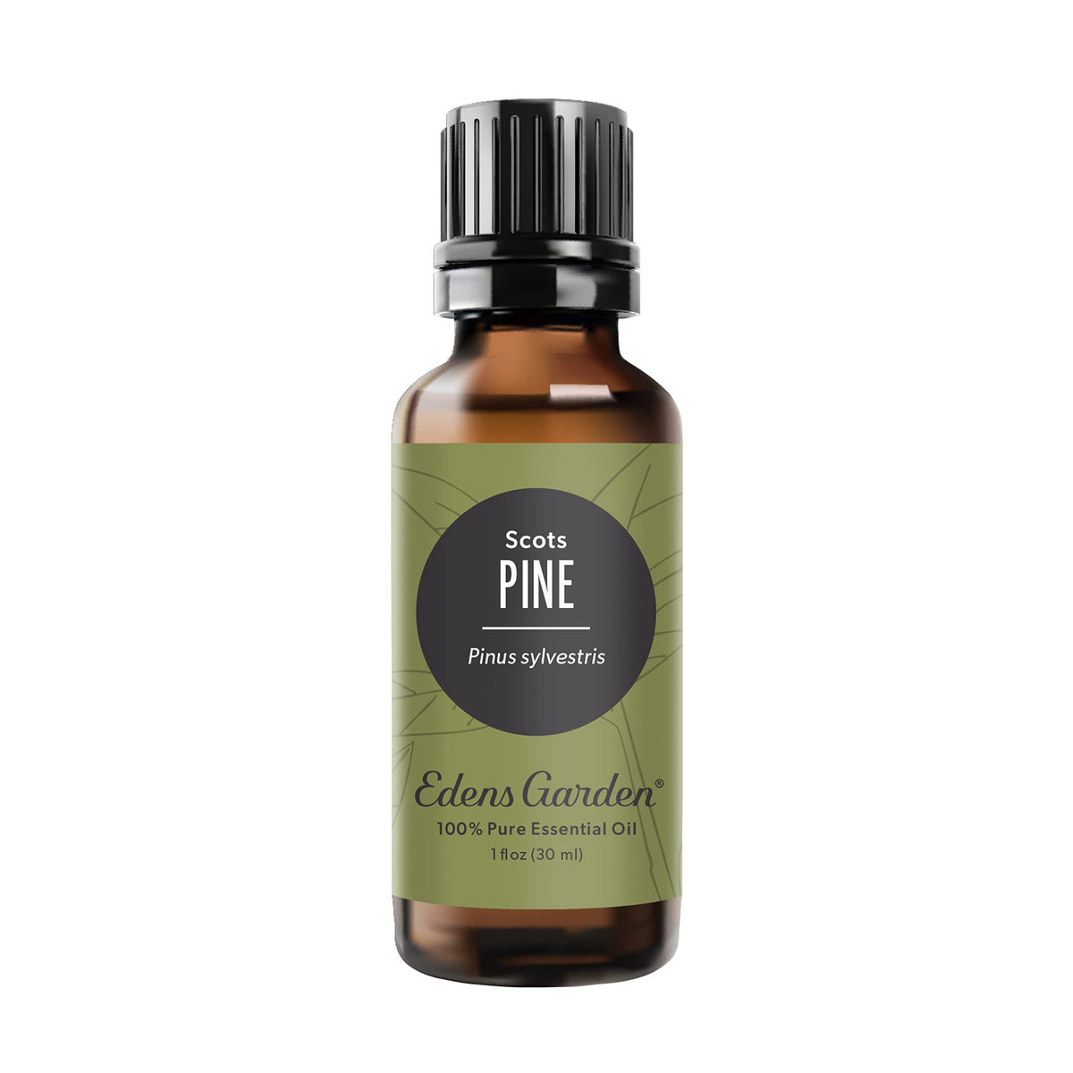 Edens Garden Pine-Scots essential oil bottle 30 ml
