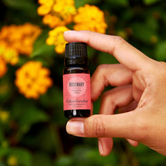Edens Garden Rosemary Around The World essential oil packaging