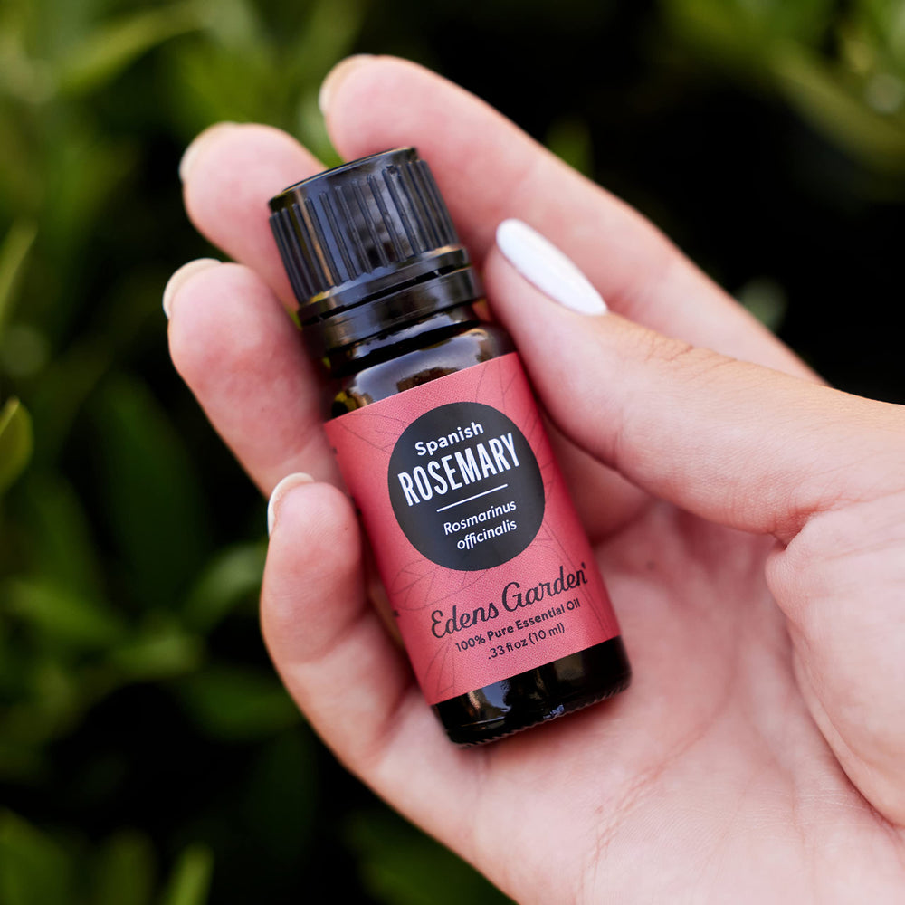 Open bottle with dropper for Rosemary Spanish essential oil