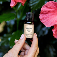 Dropper bottle of sandalwood essential oil