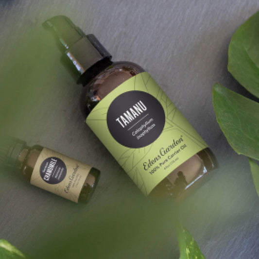 Tamanu carrier oil bottle with dropper cap - packaging close-up