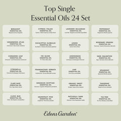 Edens Garden Top 24 Set relaxation ritual ready arrangement