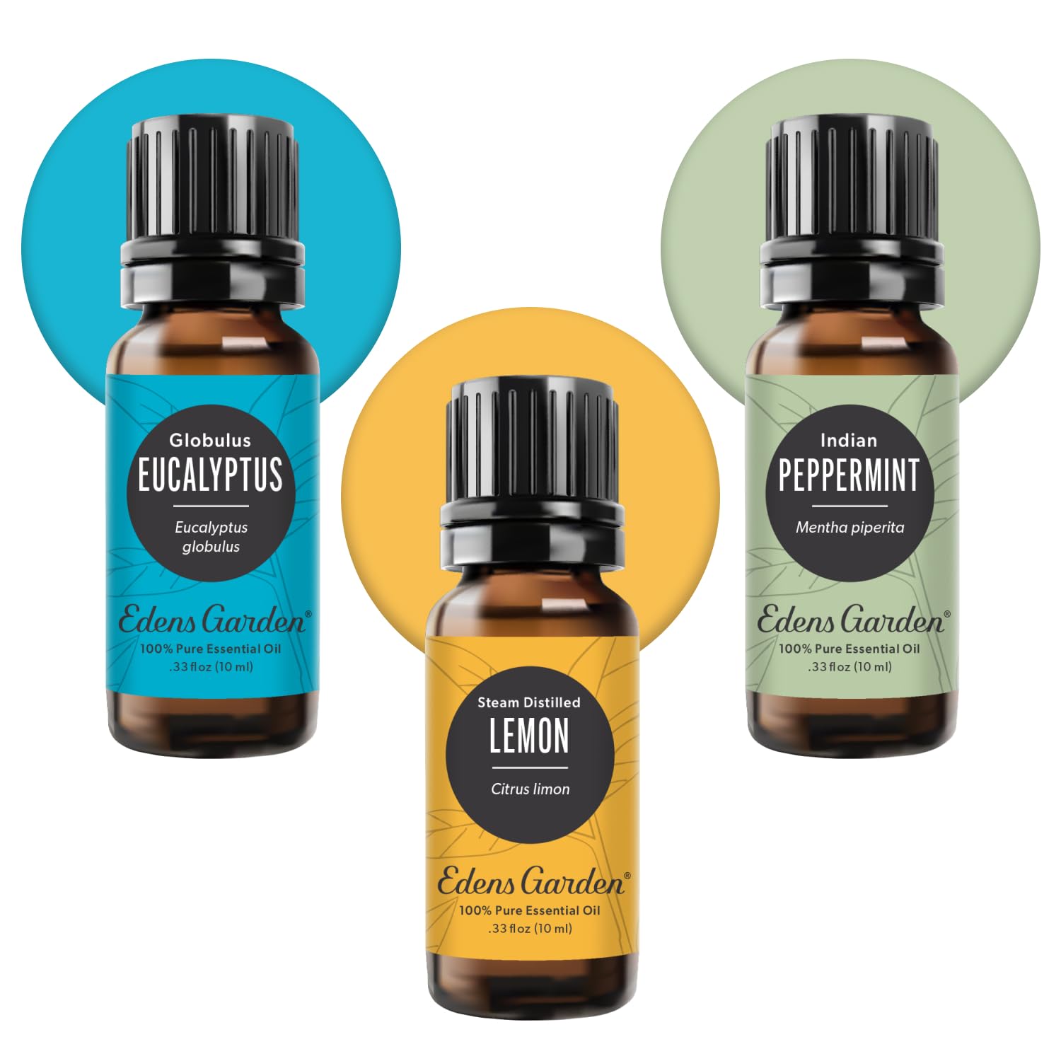 Eucalyptus essential oil bottle 10 ml