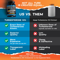 Image highlighting lean gains and energy support from Turkesterone