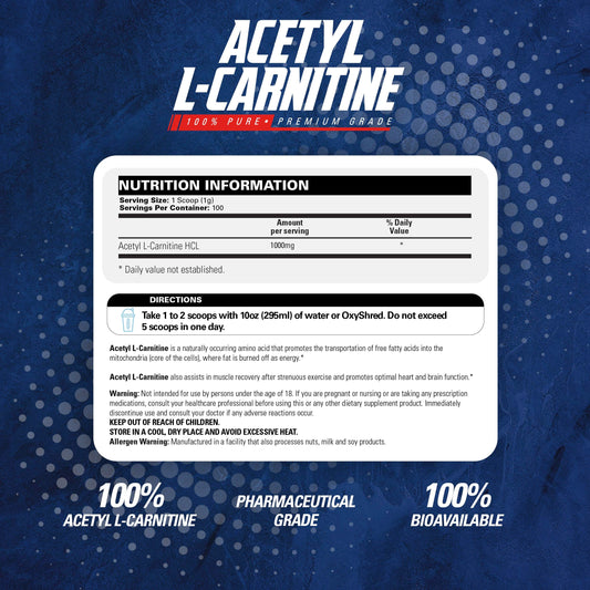 Acetyl L-Carnitine powder in a clear scoop