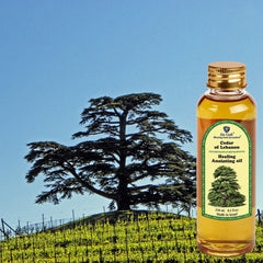 Close-up of Ein Gedi Cedar of Lebanon Anointing Oil bottle