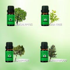Elaunva Essential Oils Set with amber glass bottles in storage box