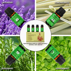 Rosemary essential oil bottle from Elaunva