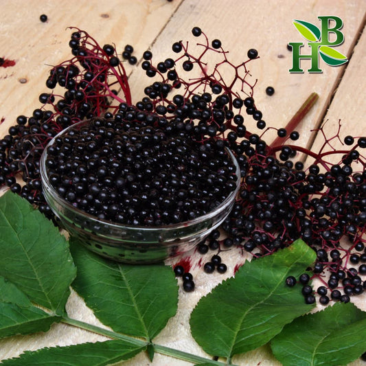 Wildcrafted elderberry whole berries – 4oz per pack, side view