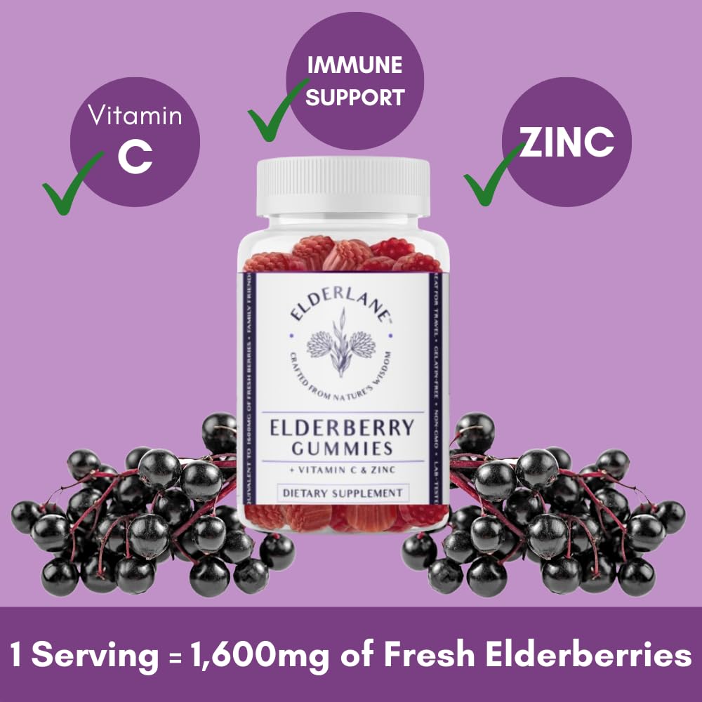 Immunity support concept with elderberries and vitamins