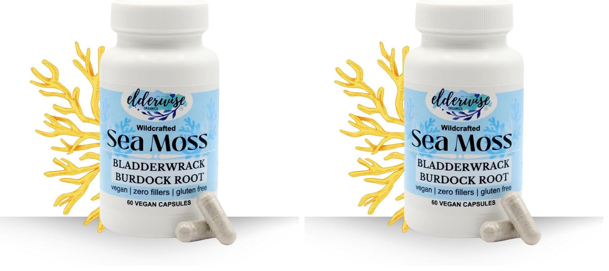 Hero image showing Elderwise Sea Moss Capsules Pack of 2