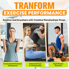 Eleutherococcus adaptogen for endurance and anti-fatigue support