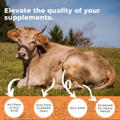 Eleva Nutrition grass-fed ox bile salts on the label emphasizing quality