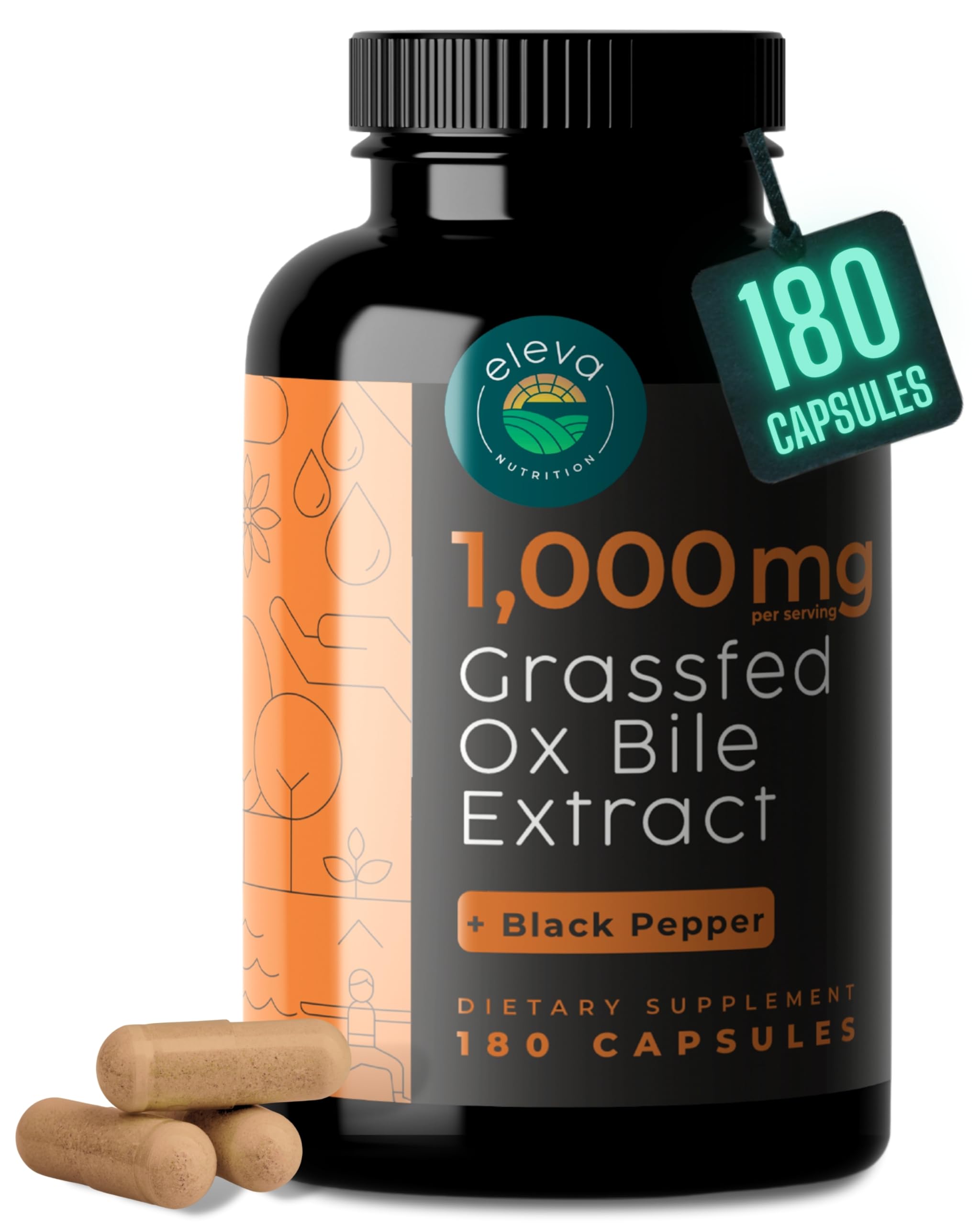 Eleva Nutrition ox bile capsules bottle for post-meal digestion support