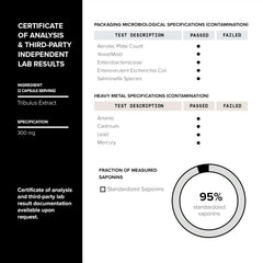 USA-made GMP-certified manufacturing facility for Elite T Formula