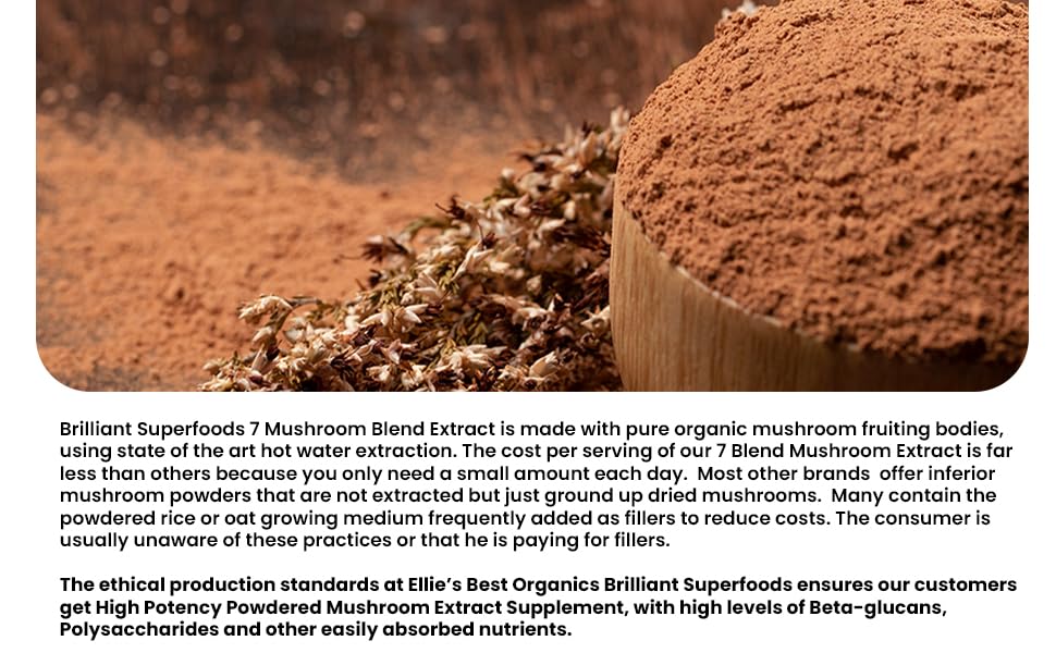 Close-up of double-extracted mushroom blend