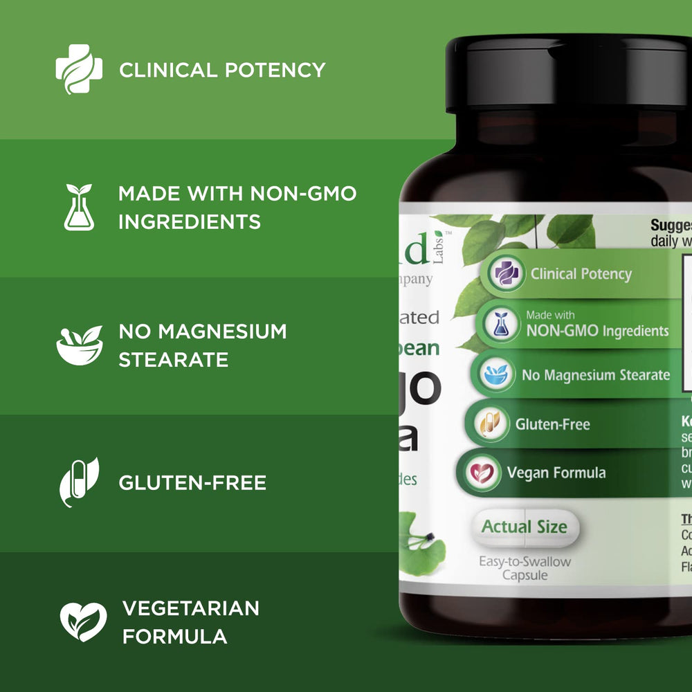 Ginkgo Biloba energy support imagery