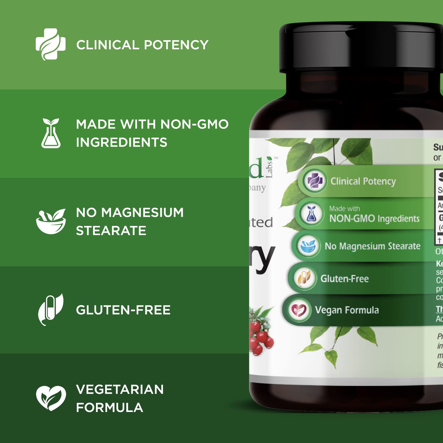 Illustration showing antioxidant and immune support benefits