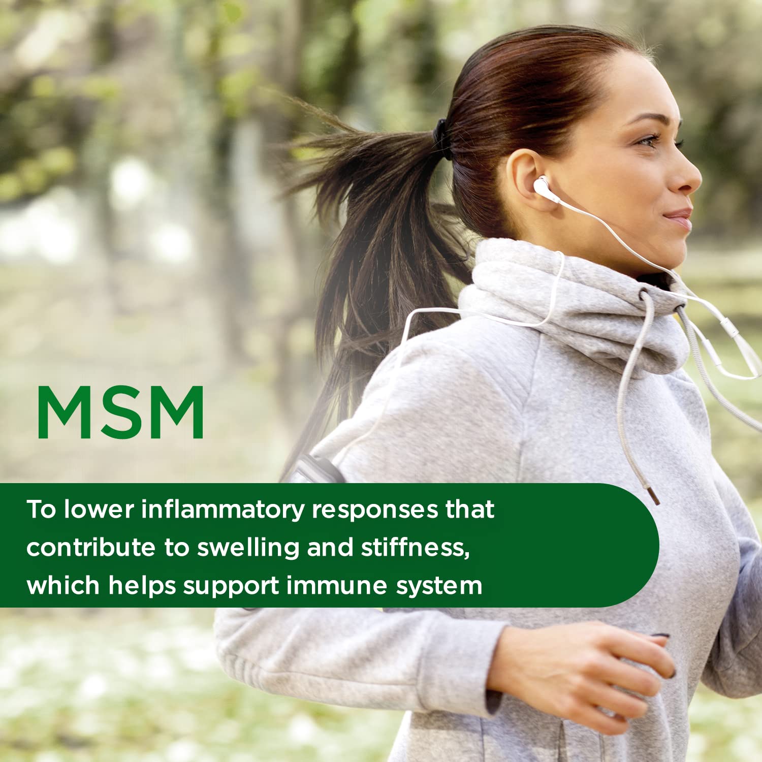 Plant-sourced MSM ingredients illustration