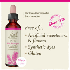 Artwork illustrating emotional balance with flower remedies