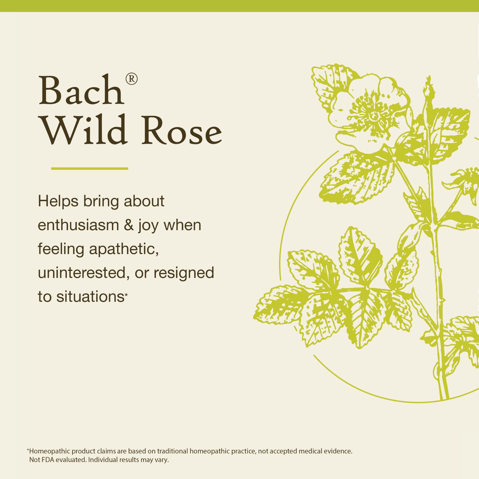 Emotional balance with Wild Rose Bach remedies