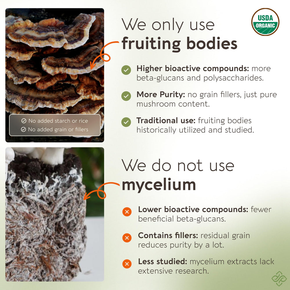 Cordyceps mushroom used in Emperor 4 blend