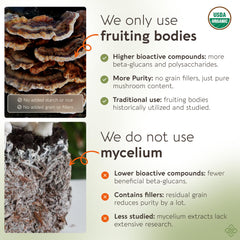 Cordyceps mushroom used in Emperor 4 blend