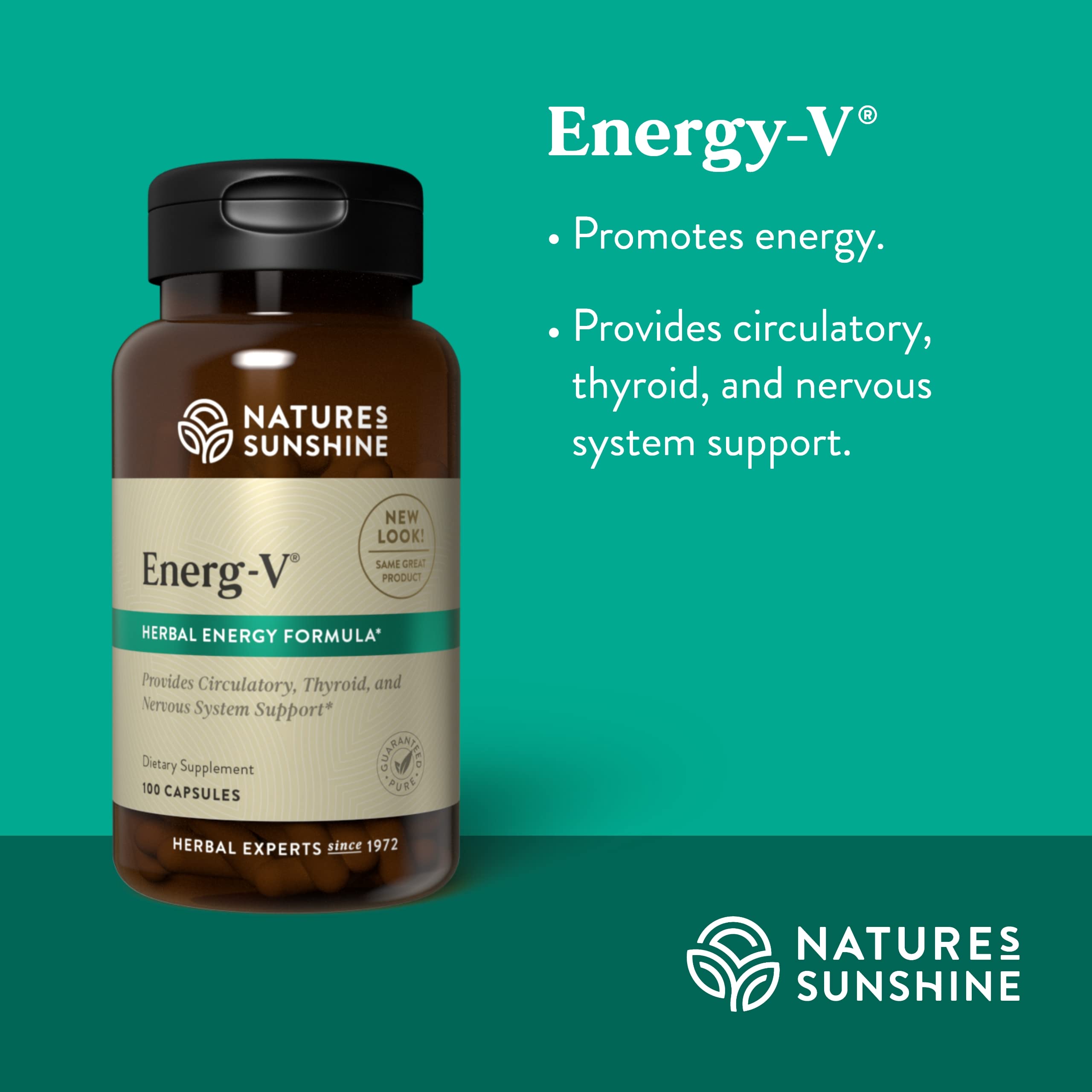 Illustration of energ-v ingredients including gotu kola and schizandra