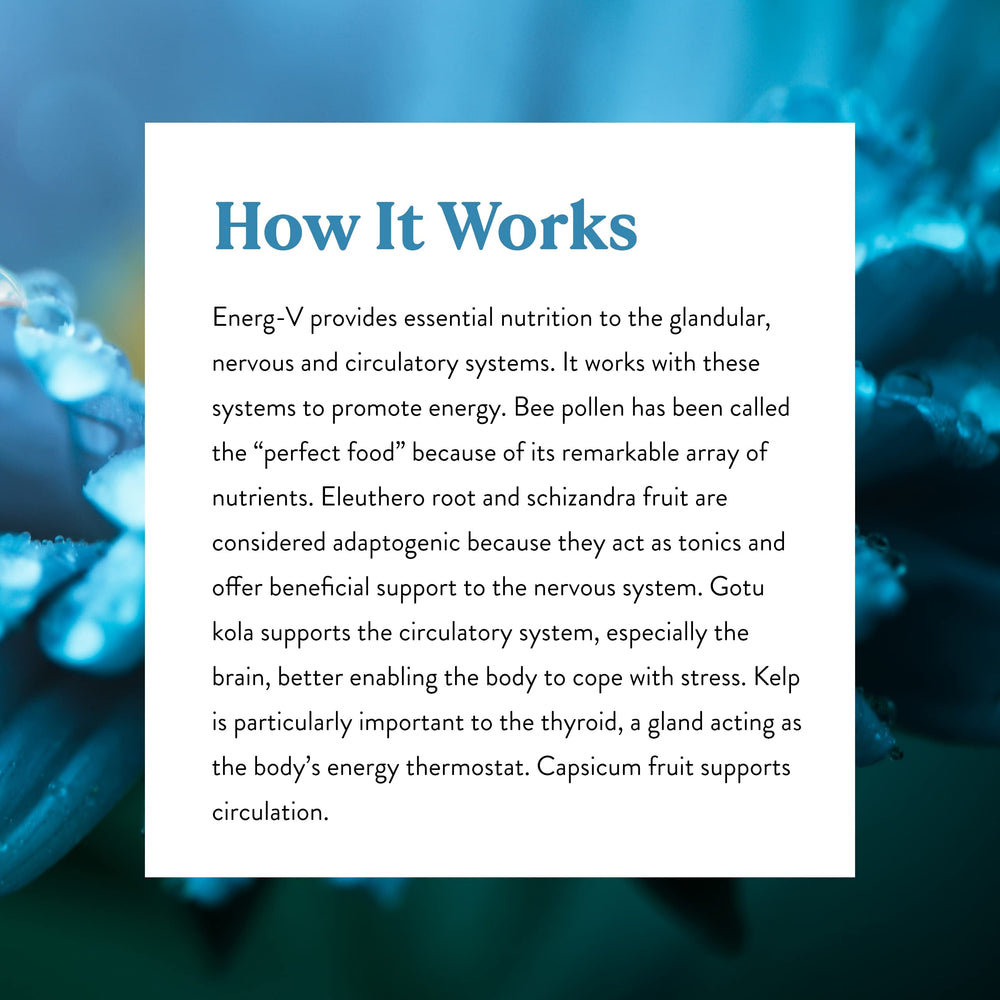 Kelp leaves and other herbs included in Energ-V formula