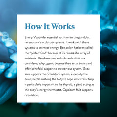 Kelp leaves and other herbs included in Energ-V formula