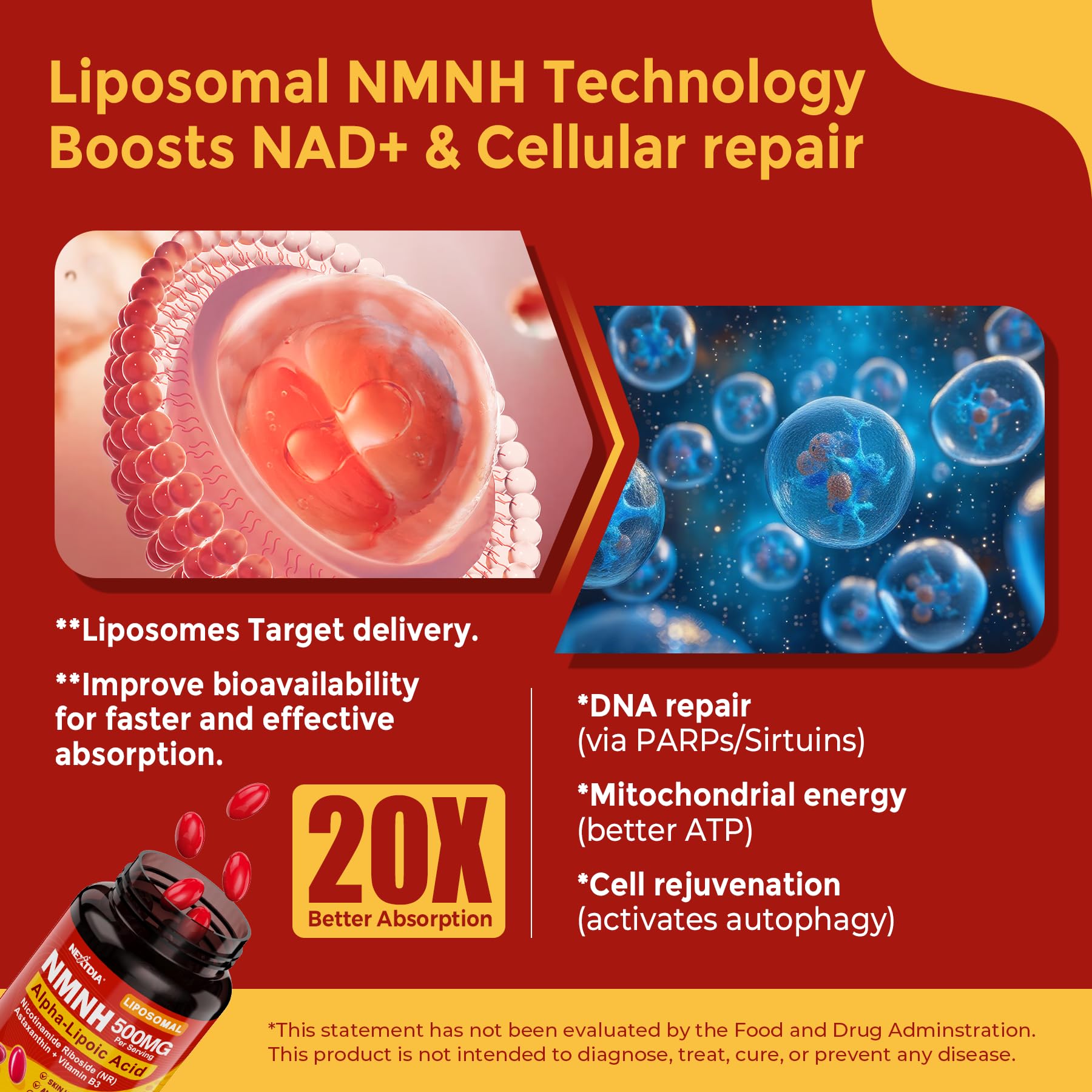 Two NMNH softgels daily dose