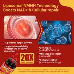 Two NMNH softgels daily dose