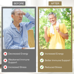 Graphic representing energy and endurance benefits