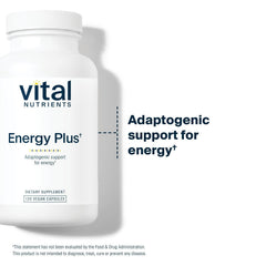 Adaptogenic blend including American ginseng and schisandra