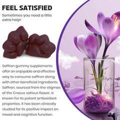 Graphic illustrating high-absorption saffron extract 10:1 concentration