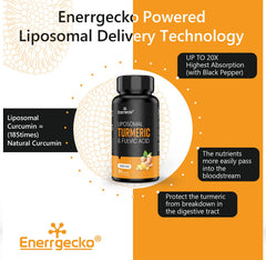 Enerrgecko turmeric-curcumin ingredient close-up emphasizing high-potency formula.