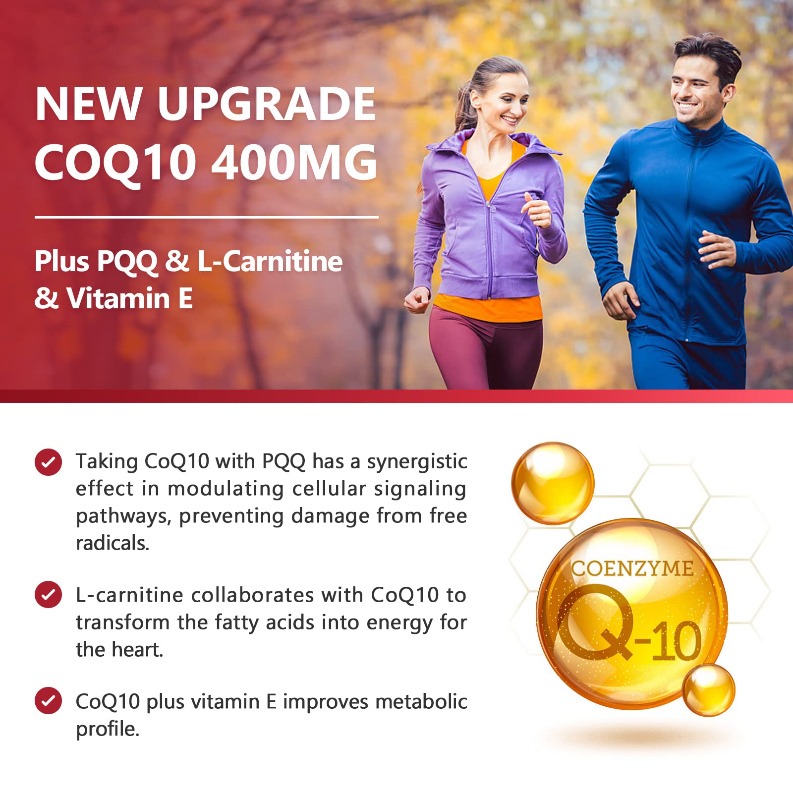 Graphic illustrating enhanced CoQ10 absorption with BioPerine