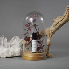 ENVIRONMENT Long-lasting scent offers hours of subtle presence.