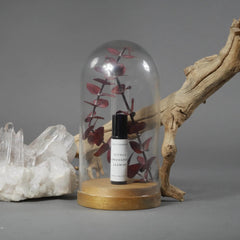 ENVIRONMENT travel-friendly packaging ideal for quick scent refresh.