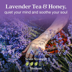 Scent Stix refill Lavender Tea & Honey with Enviroscent