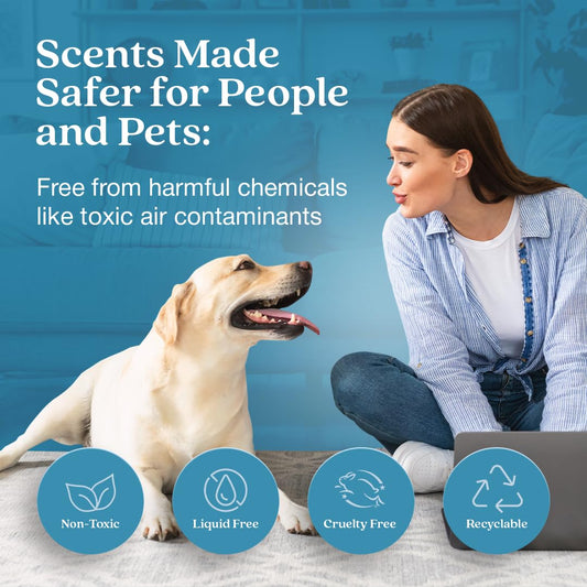 Scent Stix refill in Rainwater & Bamboo