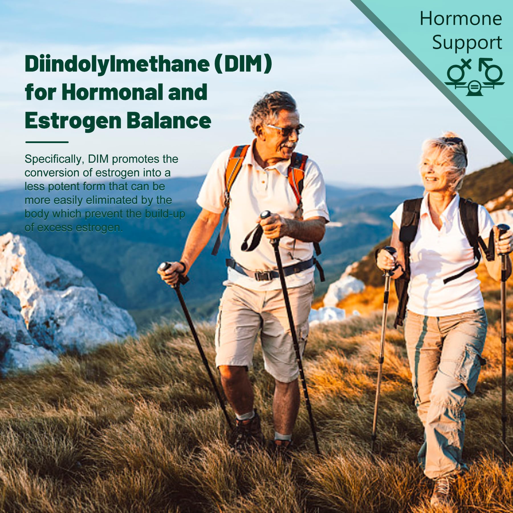 EnvyDeal DIM close-up bioperine-absorption emphasizes enhanced nutrient uptake