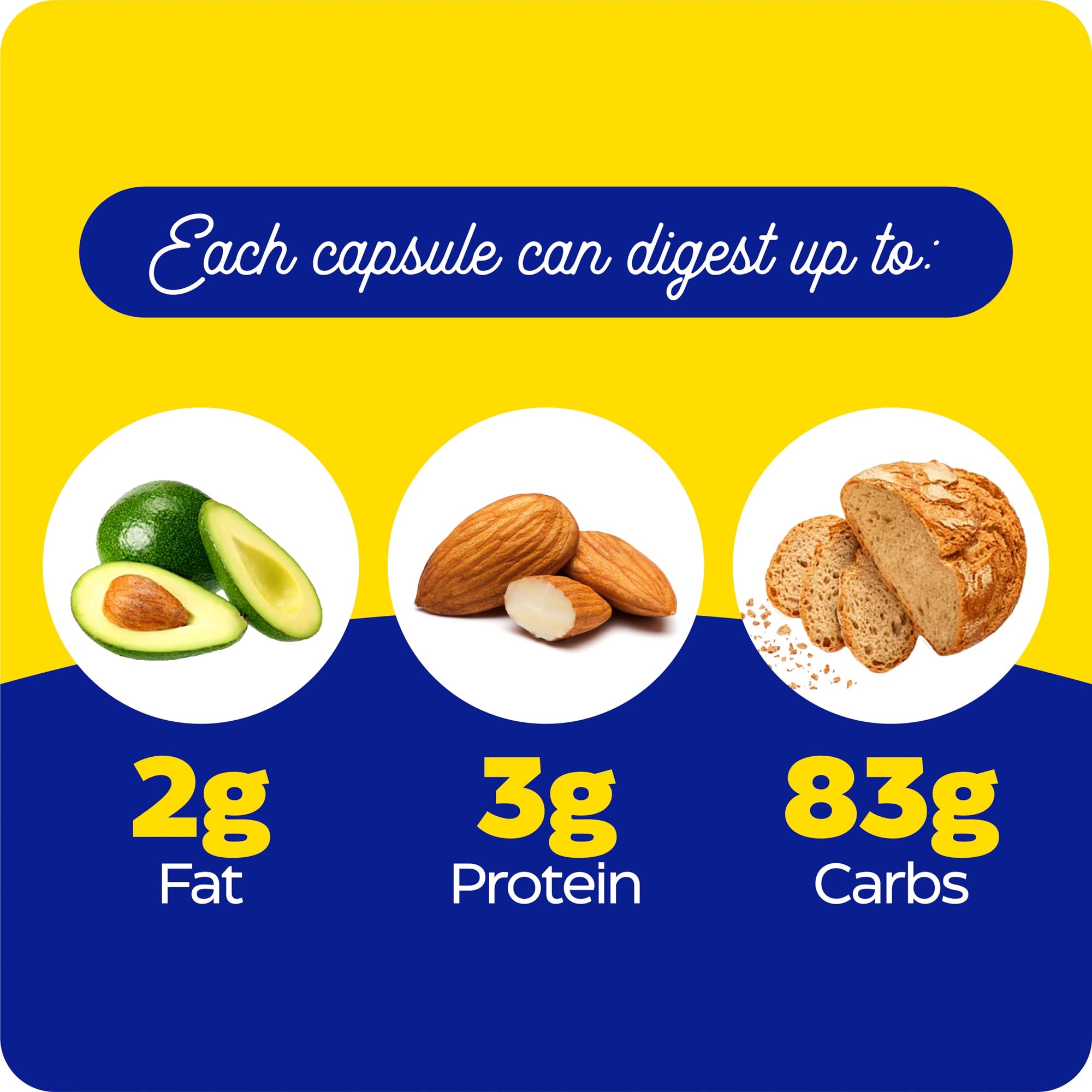 12-enzyme blend for complete digestion